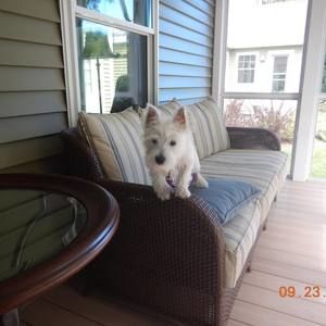 Meet your Posher, Marion